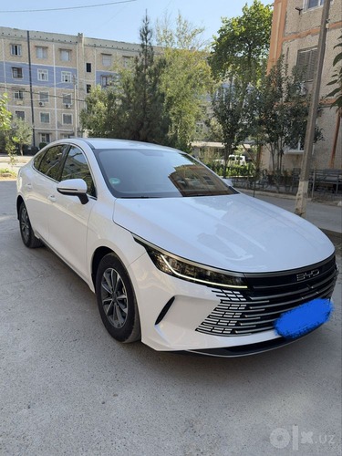 BYD Chazor, 2024, Toshkent