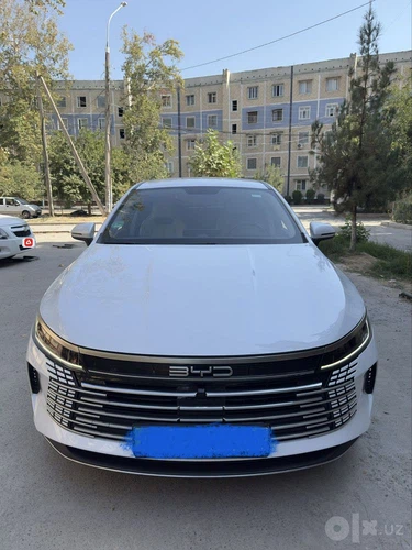 BYD Chazor, 2024, Toshkent – 3