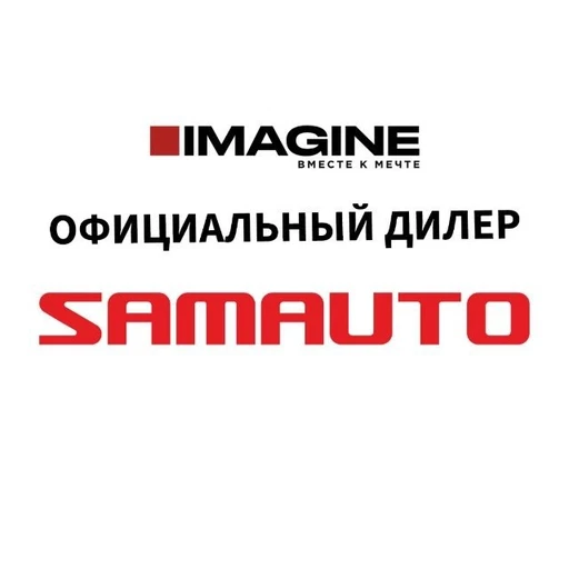 ISUZU IMAGINE
